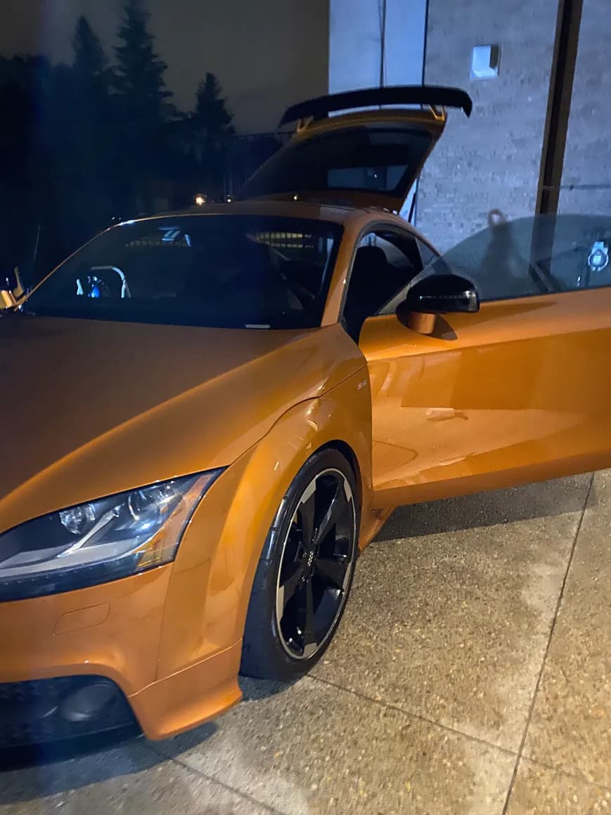 Audi Gold